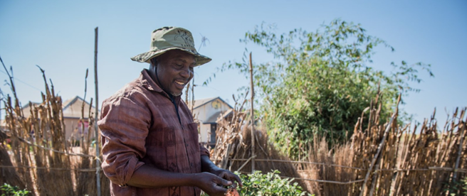 Dunstan Mlimuka is a tree nursery manager for One Acre Fund, producing seedlings for a range of tree species including Grevillea, Casuarina, Dovyalis, Acacia, and Acrocarpus.